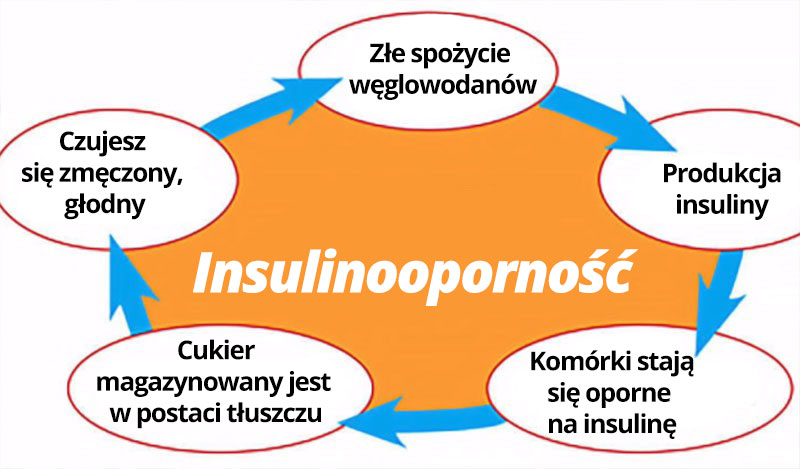 zelki z octem jablkowym